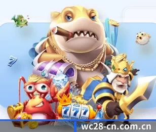 旺财28的故事